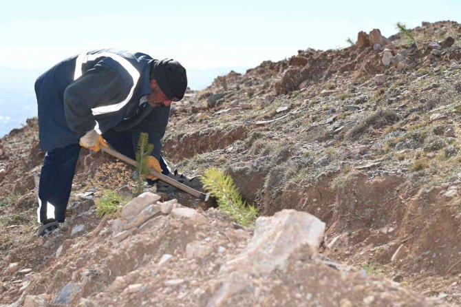 Selçuklu’da Yeşil Dokuya 22 Bin 500 Yeni Fidan Daha Kazandırıldı