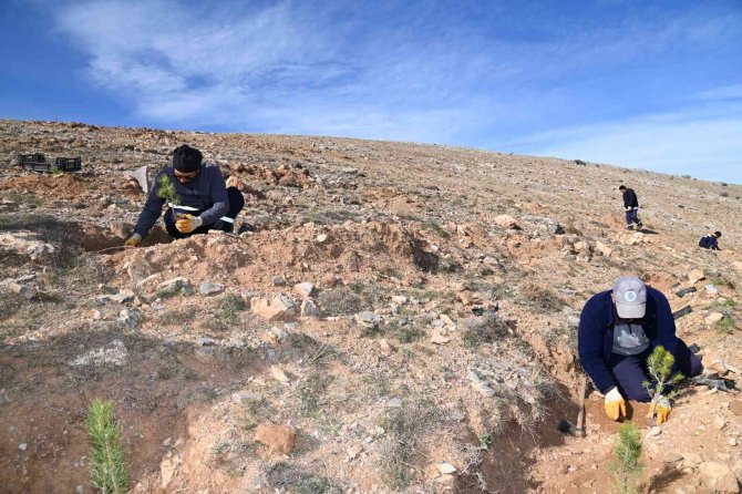 Selçuklu’da Yeşil Dokuya 22 Bin 500 Yeni Fidan Daha Kazandırıldı