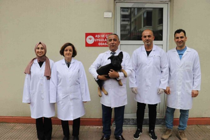 Hayvan Kimliklendirmesinde Son Tarih 31 Aralık