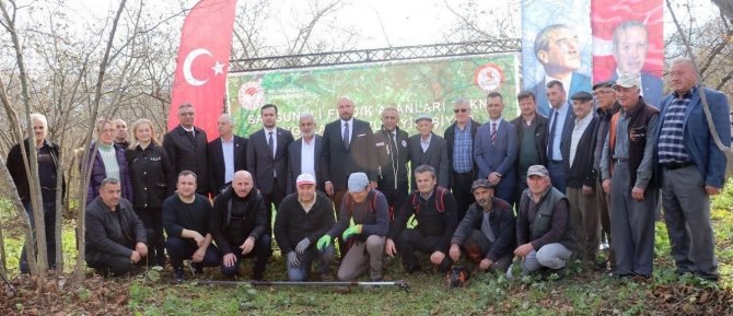 Samsun’da 2022’de 112 Bin 301 Ton Fındık Üretildi