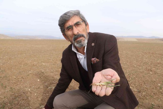 Tarım Arazileri İmara Yeniliyor