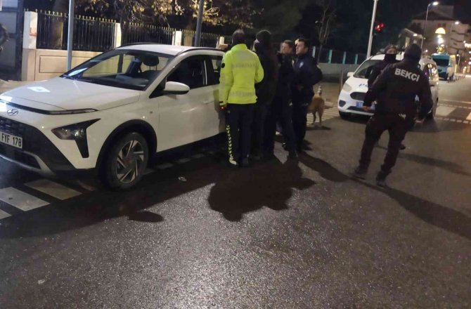 Polis Uyuşturucu Aradı, Sokak Köpekleri Seyretti