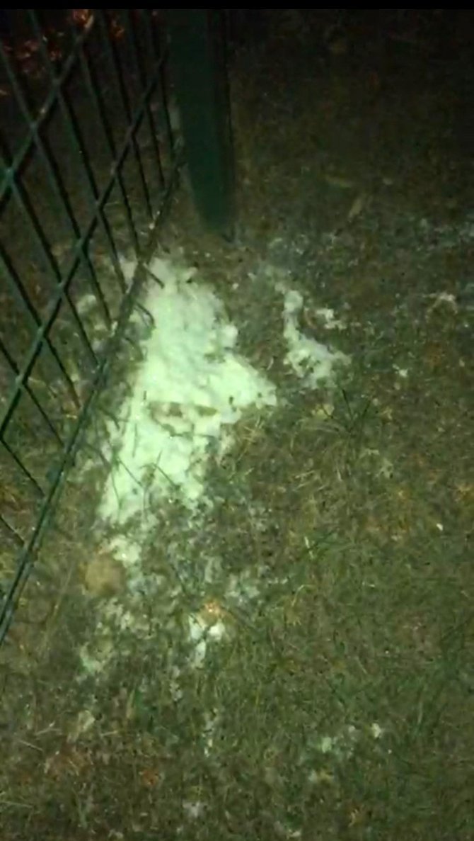 Yalova’da Yarım Kilo Uyuşturucuyla Yakalanan Zanlı Tutuklandı