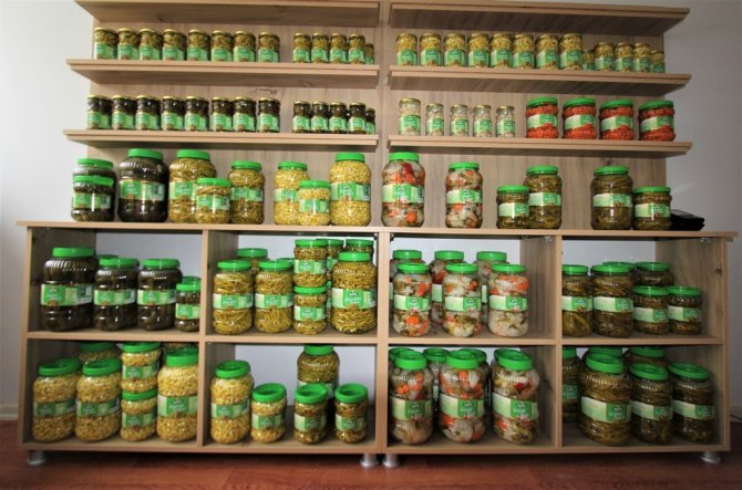 Yöresel Ürünler Ve Turşu Fabrikası Üretiyor, Bayburt Kazanıyor