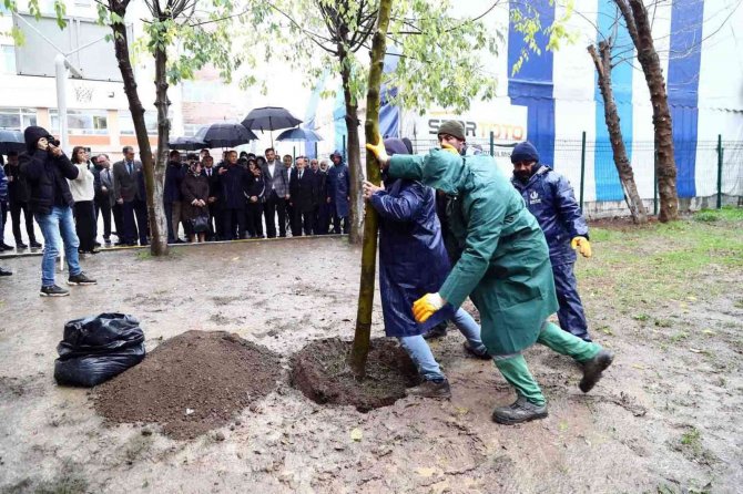 Terör Saldırısında Hayatını Kaybeden Yağmur’un Anısına Okuluna Fidan Dikildi