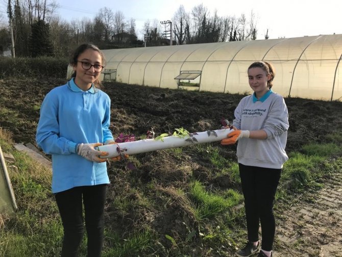 Meslek Lisesi Topraksız Tarım İle Üretime Başladı