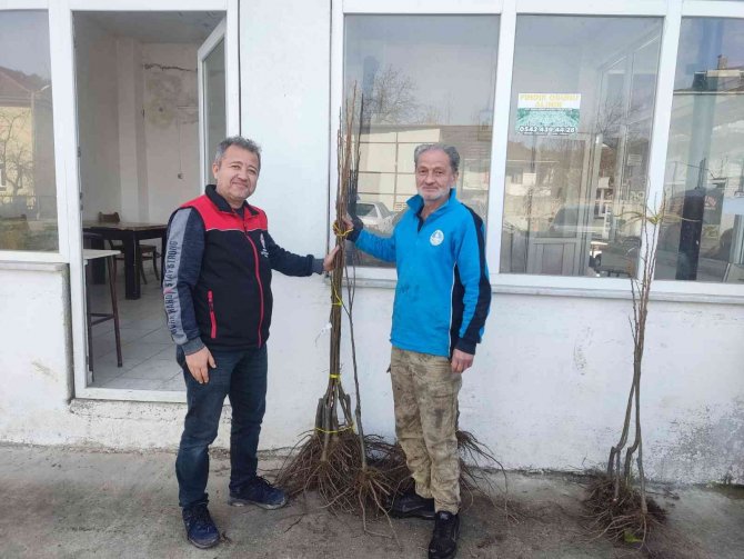 Coğrafi İşaretli Kestane Balına Lezzet Katacak