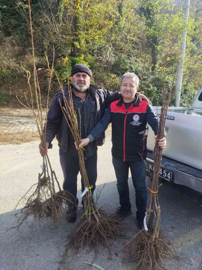 Coğrafi İşaretli Kestane Balına Lezzet Katacak
