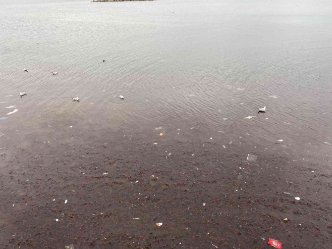 Kadıköy’ü Lodos Vurdu, Caddebostan Sahilini Plastik Atıklar Kapladı