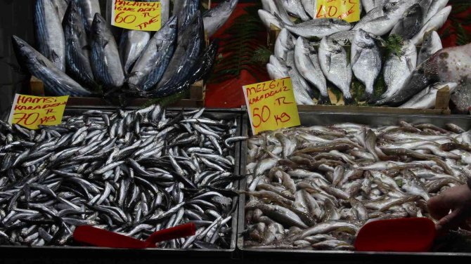 Havaların Soğumasıyla Birlikte Balığa İlgi Arttı