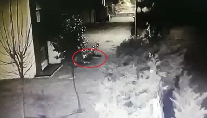 Sedefnur Çağlar’ın Sır Düşüşü Kamerada