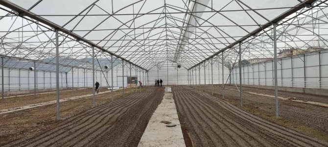 Osmaneli’nde “Sera Tesisi” Projesi Tamamlandı