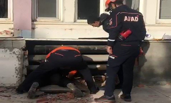 Binanın Duvarını Yıkıp Yavru Köpeği Kurtardılar