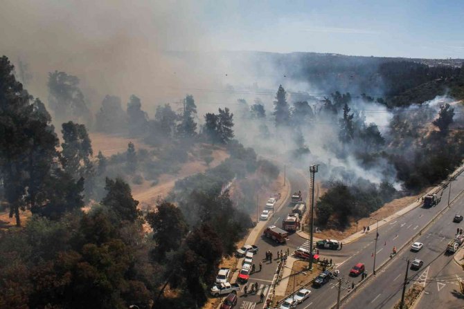 Şili’de Orman Yangını: 4 Bin Hektardan Fazla Alan Kül Oldu