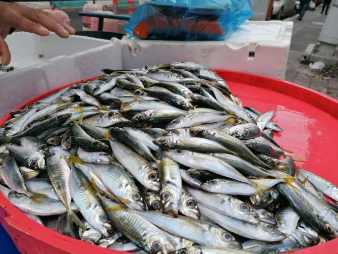 Hamside 2 Farklı Fiyat