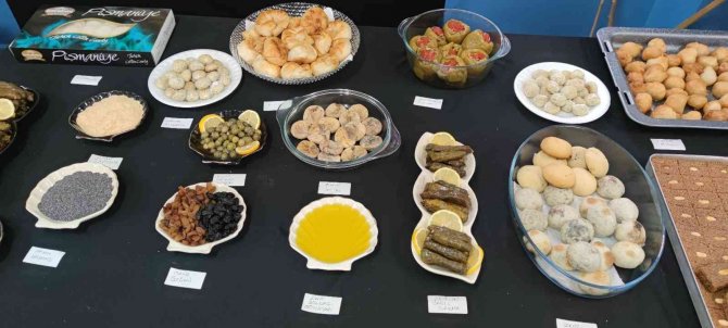 Türkiye’nin 7 Bölgesi Bingöl’de Buluştu