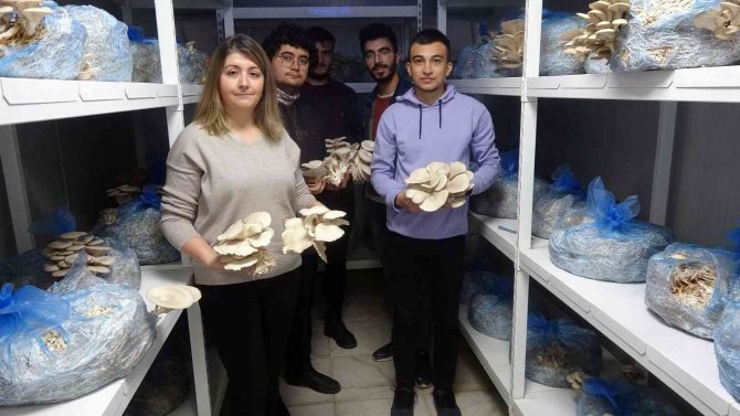 Hem Üreticilere Hem De Öğrencilere Mantar Eğitimi