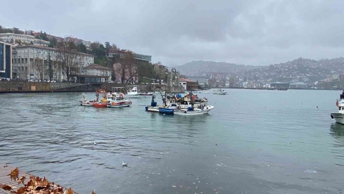 Balıkçı Teknesinden Düşen Tayfayı Arama Çalışması Sürüyor