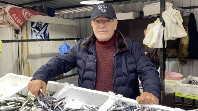 Tezgahlara Yerli Hamsi Geldi, Yüzler Güldü