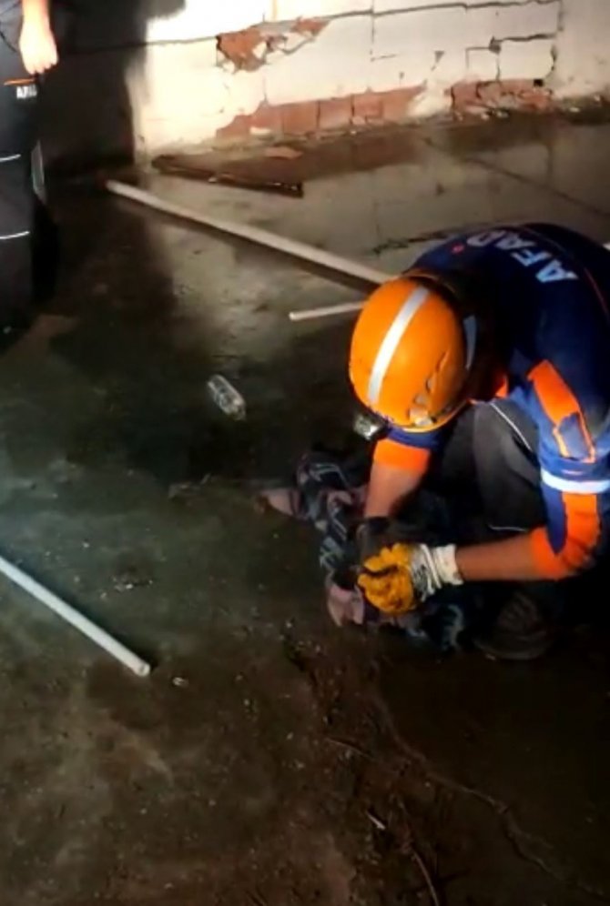 Kanalizasyon Çukurundan Kurtarılan Yavru Köpek Sayısı 3 Oldu