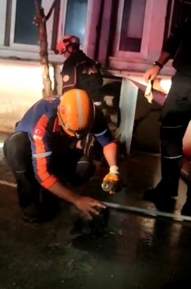 Kanalizasyon Çukurundan Kurtarılan Yavru Köpek Sayısı 3 Oldu