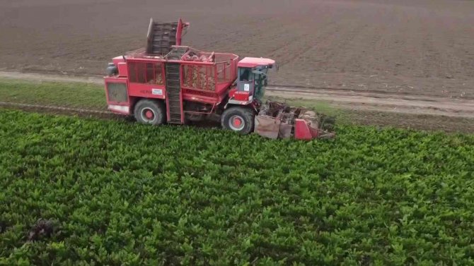 Amasya Şeker’den Çiftçilere Çağrı: “Dilediğiniz Kadar Pancar Ekin"