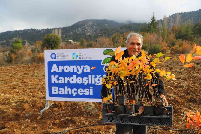 Antalya İle İ̇zmit’in “Aronya” Kardeşliği