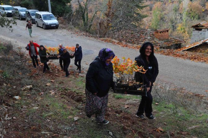 Antalya İle İ̇zmit’in “Aronya” Kardeşliği