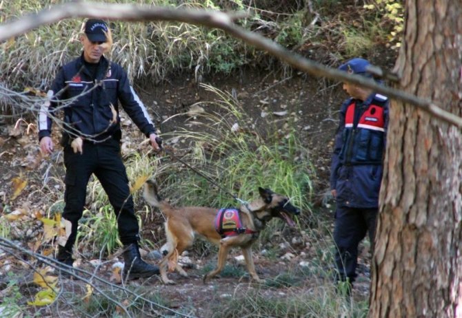 3 Yıl Önce Bulunan Kemiklerin Bayram Tosun’a Ait Olduğu Kesinleşti