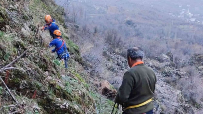 Diyarbakır’da Kayalıklarda Mahsur Kalan İnek Afad Ekiplerince Kurtarıldı