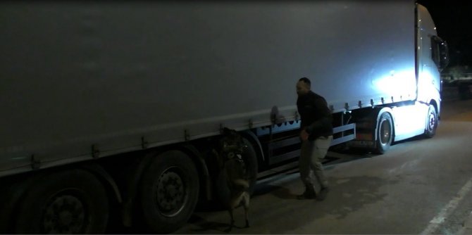 Kapıkule’den Yurda Giriş Yapan Tırda 39 Kilo 298 Gram Skunk Ele Geçirildi