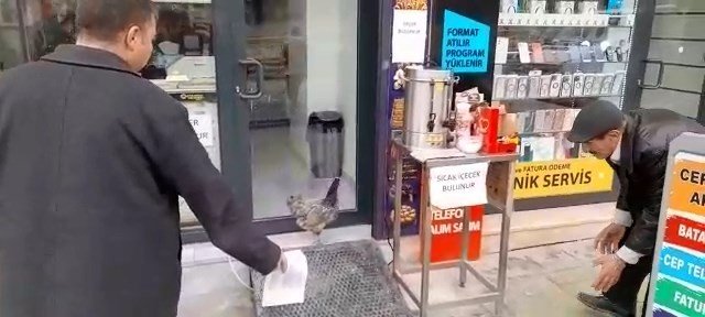 Firari Tavuğu Yakalamak İçin Dakikalarca Uğraştı
