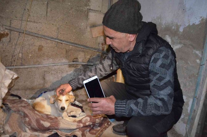 Yaralı Köpeğe Temizlik Görevlisi Sahip Çıktı