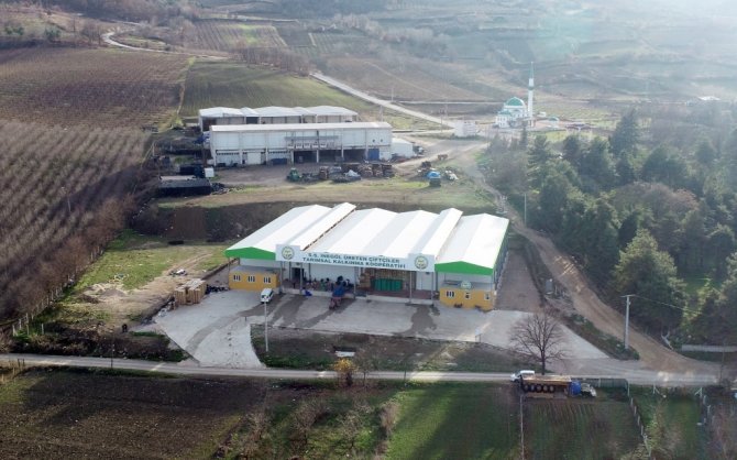 İ̇negöl’de Soğuk Hava Deposu Enerjisini Güneşten Sağlayacak