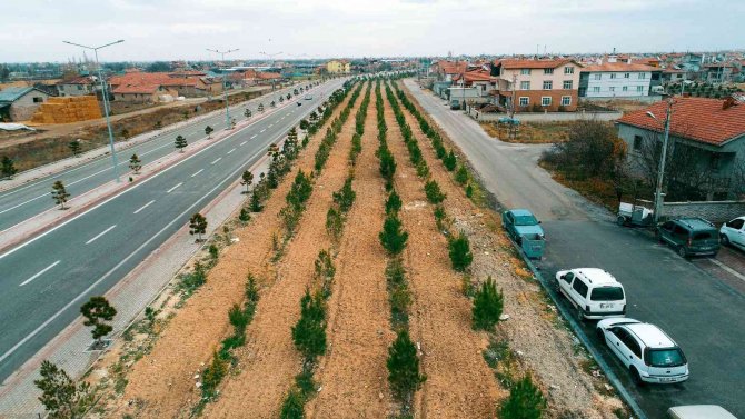 Başkan Kavuş: “Meram’ın Yeşil Dokusu Eski İhtişamlı Günlerine Kavuşana Kadar Durmak Yok”