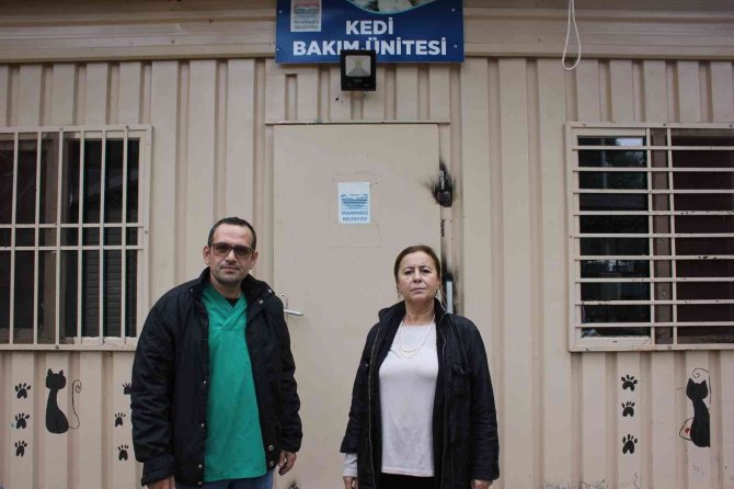Marmaris’teki Evden Kurtarılan Hayvanlar Bakımevinde Tedavi Ediliyor