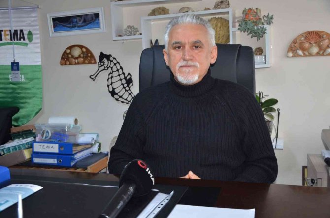 Profesörden "Karadeniz’de Hamsi Avcılığı Yasaklansın" Çağrısı