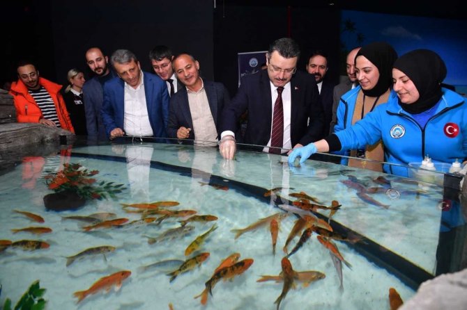 Balıkları Biberonla Beslediler