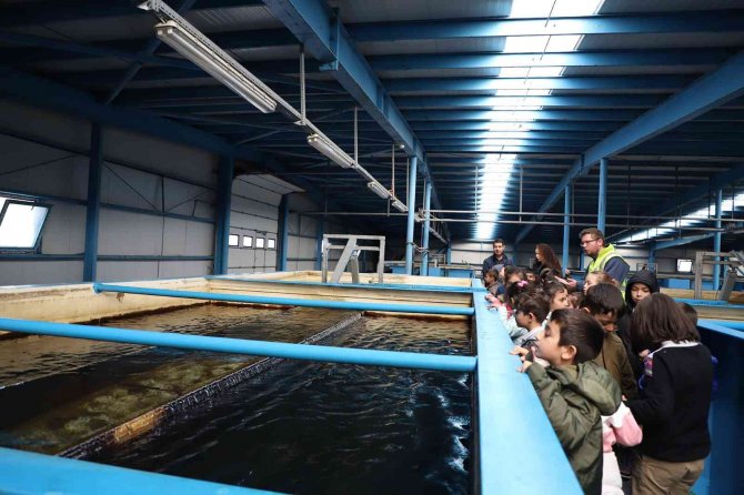 Miniklere Suyun Önemi Eğitici Gezi İle Anlatıldı