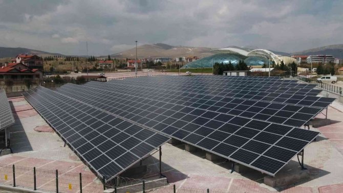 Selçuklu Belediyesi Ges İle 20 Bin 203 Ağacı Kurtardı