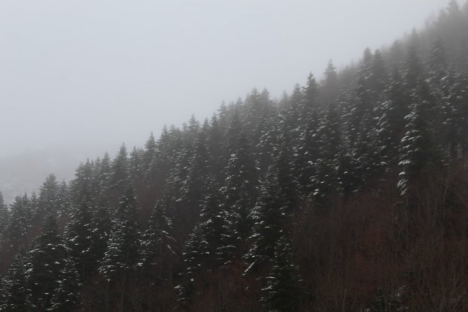 Sinop’a Mevsimin İlk Karı Düştü