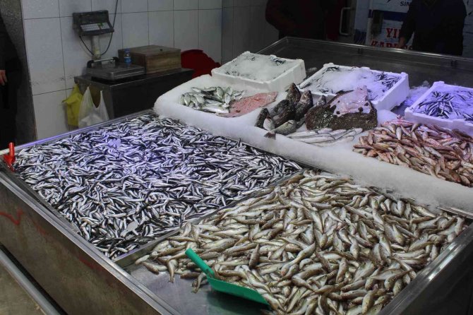 Sinop’ta Sert Hava Koşulları Balık Tezgâhlarını Etkiledi