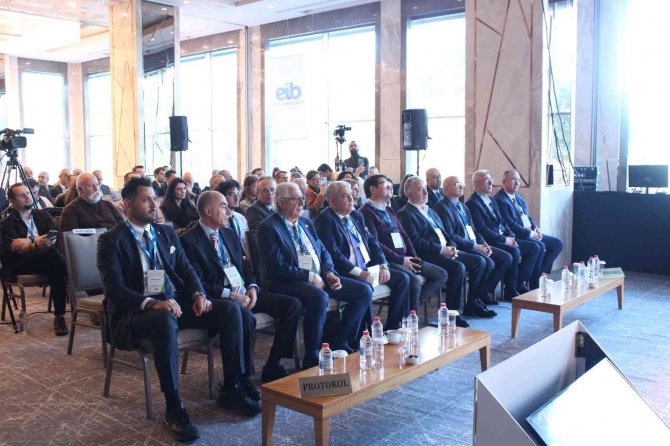 Zeytin Ve Zeytinyağında Tarihi Sezon