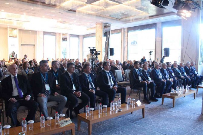 Zeytin Ve Zeytinyağında Tarihi Sezon