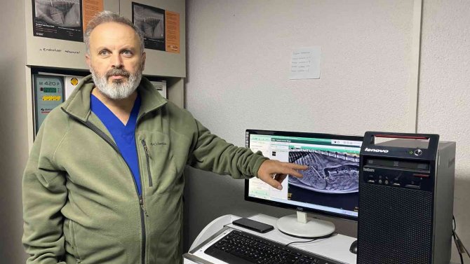 Bu Da Oldu, Kedinin Midesinden Dikiş İğnesi Çıktı