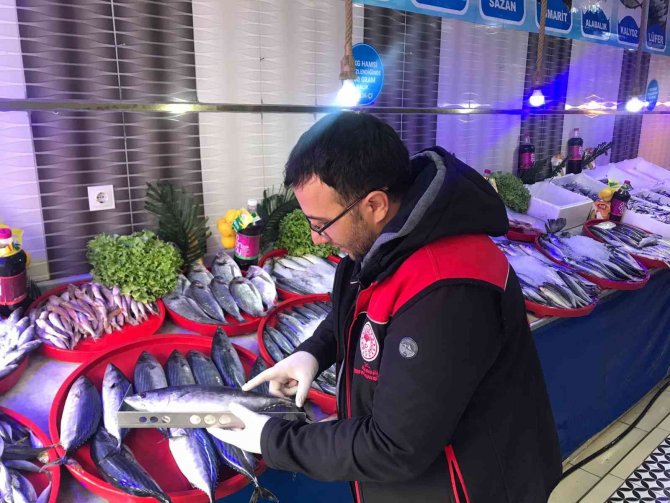 Ağrı’da Su Ürünleri Kontrol Ve Denetimleri Devam Ediyor