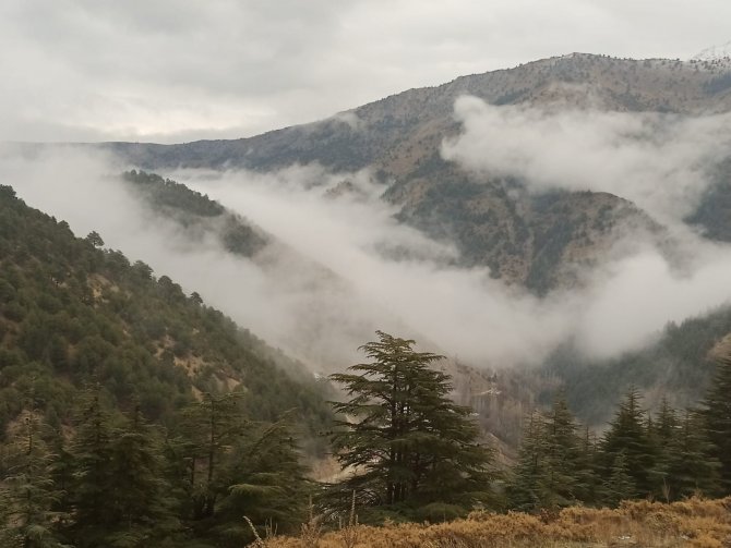 Sis Bulutları Görsel Şölen Oluşturdu