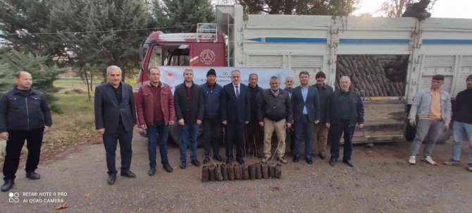 Batman’da 150 Bin Adet Antep Fıstığı Fidanı Dağıtıldı