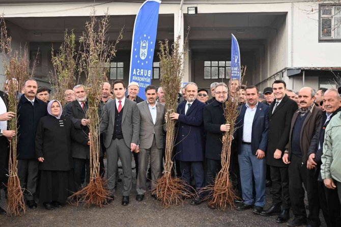 Bursa’da Kırsaldaki Çiftçilere 20 Bin Fidan Dağıtıldı