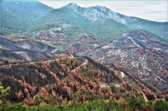 Emet Küreci Köyünde Yangın Sonrası Çalışmalar Sürüyor